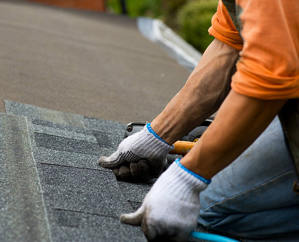 Best Storm Damage Roof Repair  in Pquemine, LA